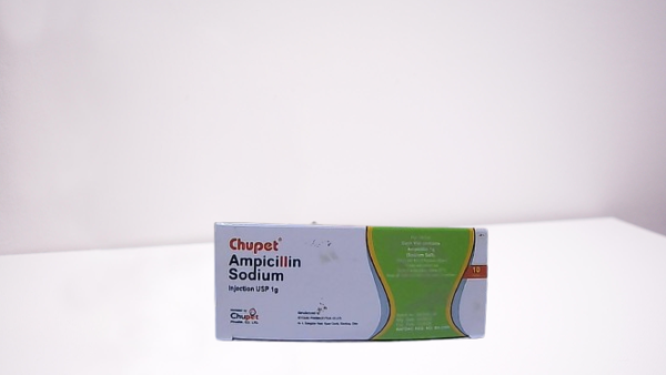 AMPICILLIN INJECTION